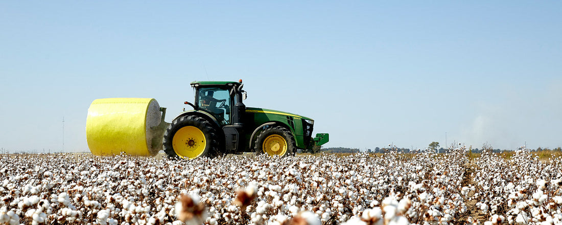 Organic Cotton: Eco-Friendly or Water-Intensive?