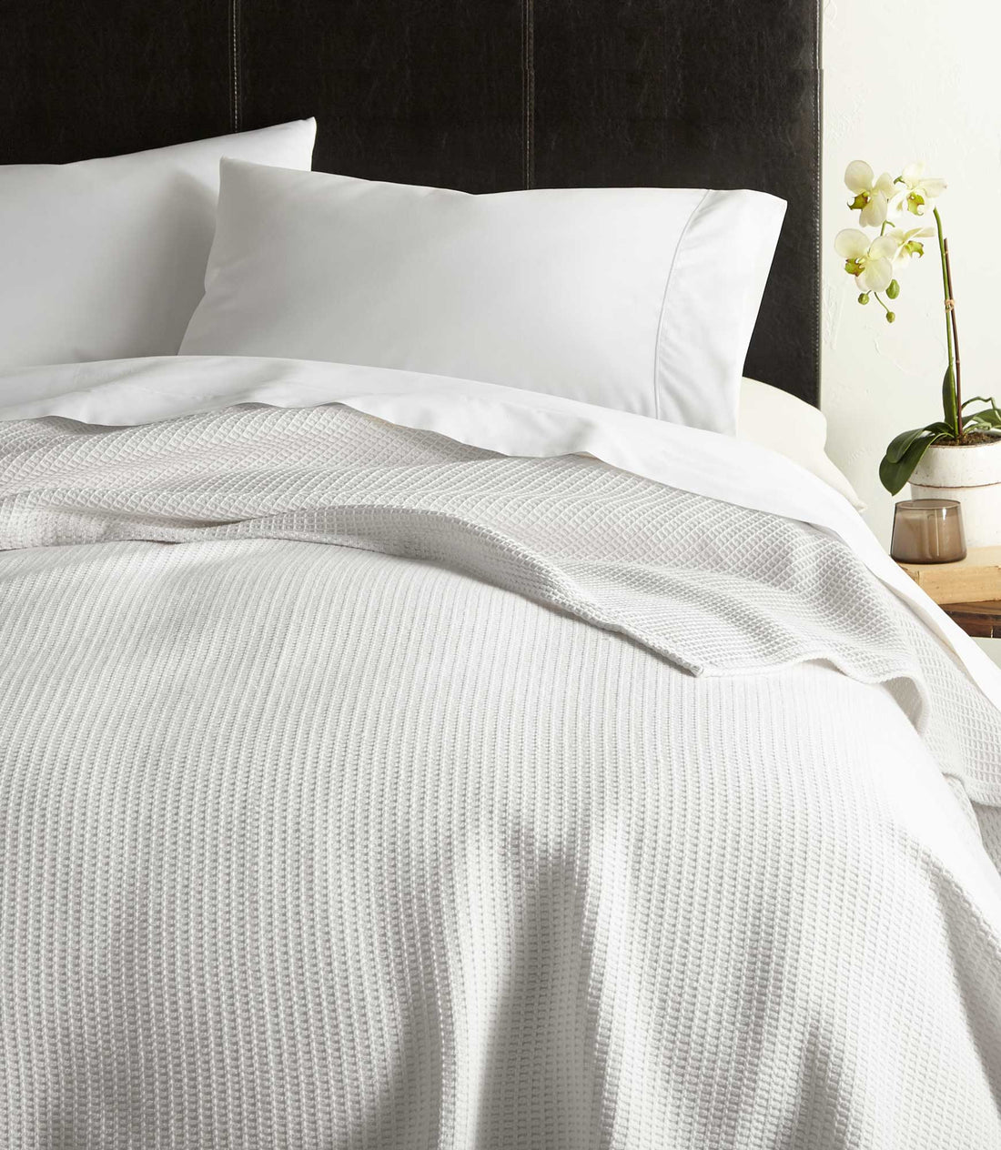Throw vs Blanket: What's the Difference and Which Is Best?