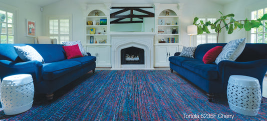 A blue sari silk rug with red accents ties together a blue and white living room