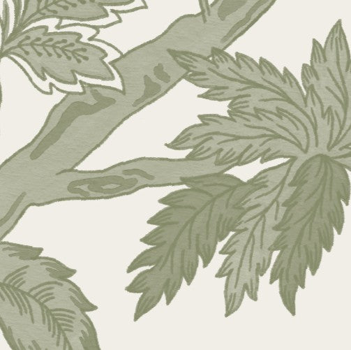 Highgrove Moss Swatch