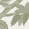 Highgrove Moss Swatch