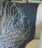 Peacock Alley Tumbleweed Throw