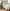 Avery Percale Sham on bed Linen - Secondary Image