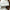 Embroidered white sateen flat sheet with spools of threadConcerto Embroidered Sateen Flat Sheets in Multiple Colors - Secondary Image