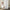Model in Spa Bath Towel Shower Curtain Sitting On Tub - Secondary Image