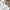 Edge embroidered sateen sheet - Secondary Image